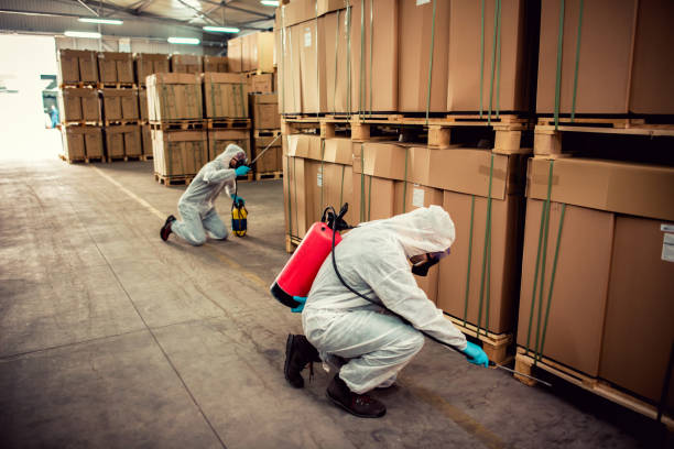 Best Local Pest Control Services  in Brinkley, AR