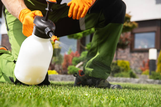 Best Best Pest Control Companies  in Brinkley, AR