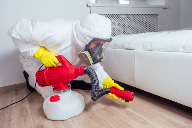 Best Insect Control  in Brinkley, AR
