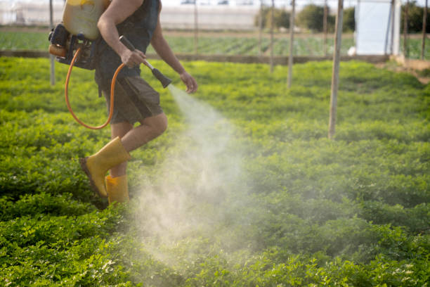 Best Commercial Pest Control Services  in Brinkley, AR