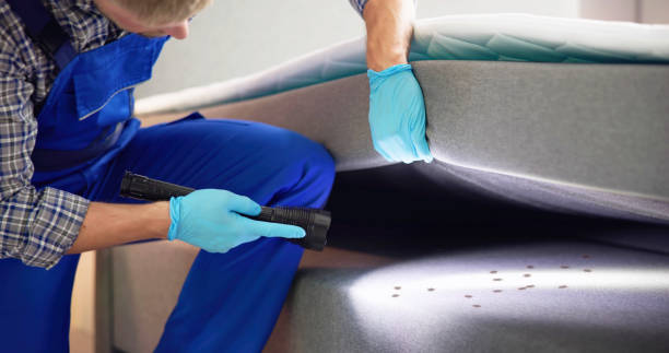 Best Pest Control Near Me  in Brinkley, AR