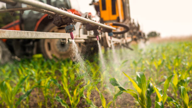 Best Pest Removal Services  in Brinkley, AR