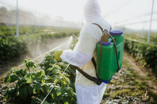 Best Best Pest Control Companies  in Brinkley, AR